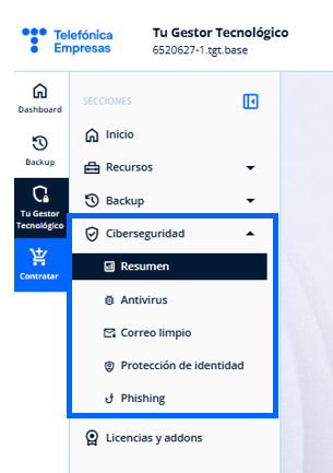 Ciberseguridad.png