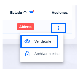 Ver detalle brecha.png